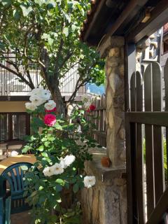 Guest house Skabrin - Bansko - 2