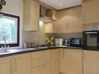 Owls About - Uk6756 - Cenarth - 5
