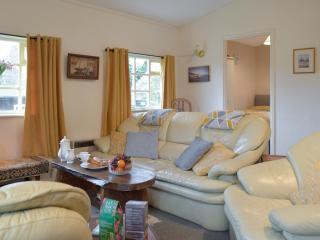 Owls About - Uk6756 - Cenarth - 7