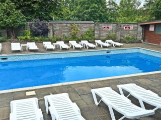 Owls About - Uk6756 - Cenarth - 2