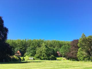 Pine Lodge - Uk7049 - Glenurguhart - 5