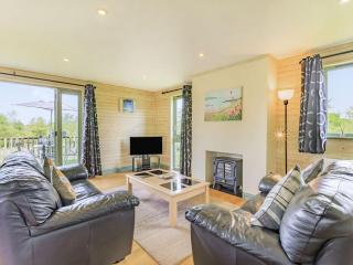 Bluebell Lodge - Holsworthy - 9