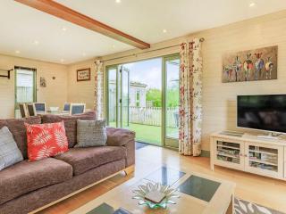 Foxglove Lodge - Holsworthy - 8
