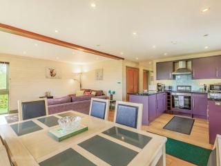 Foxglove Lodge - Holsworthy - 5