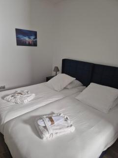 Villa Berlioz - Nice - 6