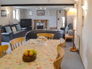 Moorview Cottage - Marytavy - 7
