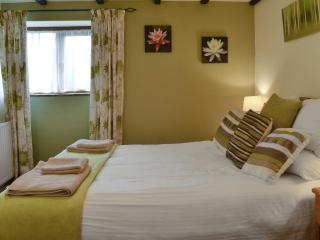 Moorview Cottage - Marytavy - 3