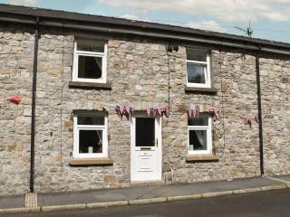 Tawe Cottage - Ystradgynlais - 9