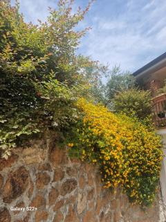 Linda's Retreat - Fiano Romano - 2