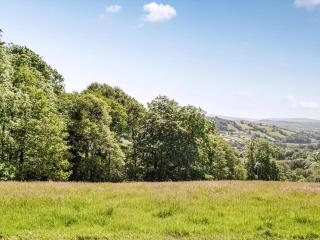 Valley View - Uk34178 - Cilycwm - 9