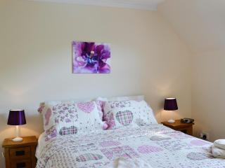 Riverside - Newton Stewart - 1