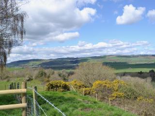 Callow Lodge - Meadowtown - 1