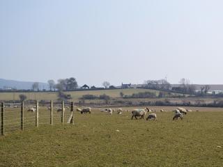 Bodwi Bach - Llanengan - 1