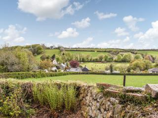 Lower Colvannick - Cardinham - 9