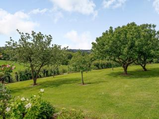 Cider Mill Cottage - Clifton upon Teme - 7