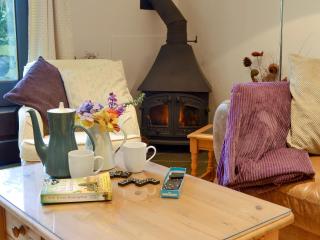 Clematis Cottage - Holsworthy - 1