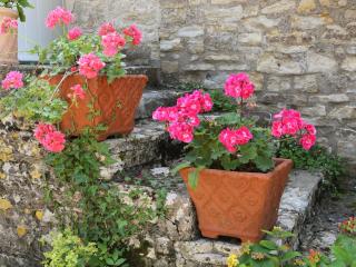 Garden Flat - Pilton - 2