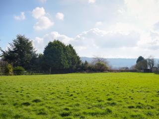Meadow View - Harley - 9