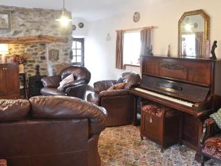 Cae Bach Cottage - Dinas - 9
