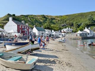 Cae Bach Cottage - Dinas - 1