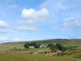 Rowan Cottage-80119 - Catcleugh - 1