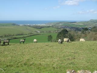 Sweet Briar - 8234 - Bridport - 1