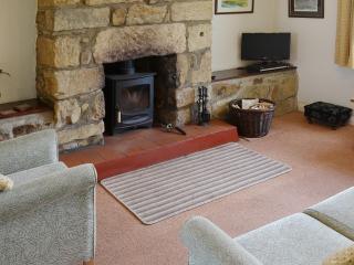 Long Row - Hinderwell - 7