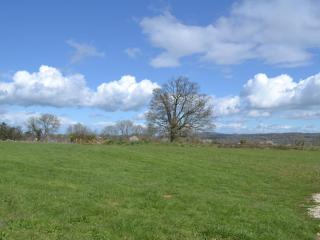 Stepen View - Chard - 1