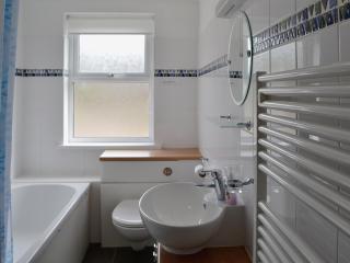 Buzzards - 8235 - Bridport - 6