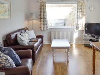 Buzzards - 8235 - Bridport - 1