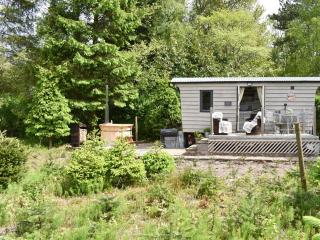 Spruce Shepherds Hut - Wilmslow - 3