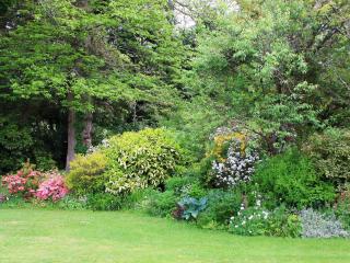 Tristan's - Ukc3906 - Lostwithiel - 7