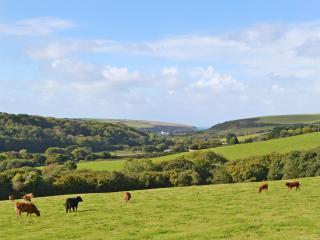 Porth View - Saint Mawgan - 2