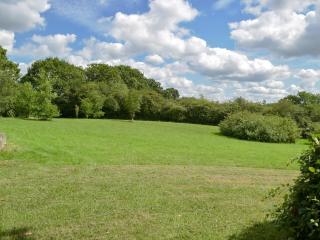 Woodpecker Rest - Cilgerran - 4