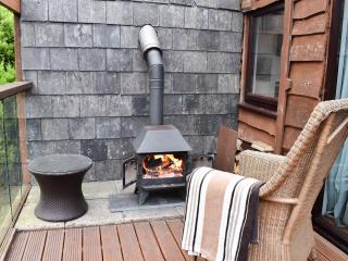 The Wood House - Buckfastleigh - 1