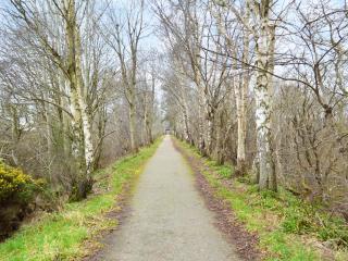 March Brown - Garmouth - 2