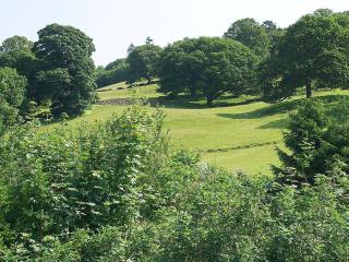 Howarth Cottage - Troutbeck Bridge - Troutbeck Bridge - 8