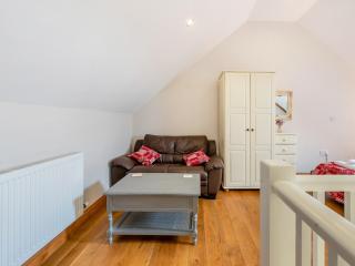 Adventurers Abode - Uk48387 - Gwynfe - 7