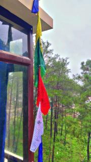 XTSY Luxury - Shillong - 6