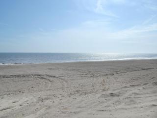 Driftwood - Sutton-on-Sea - 4