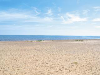 Driftwood - Sutton-on-Sea - 1