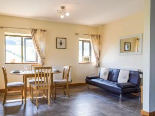 Heyope Cottage - Llangunllo - 6