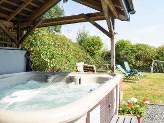 Heyope Cottage - Llangunllo - 9