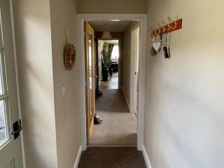 Two Hoots - Wigglesworth - 1