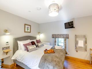 The Mill - Llandegley - 1