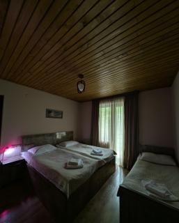 Lisaneli - Mestia - 3