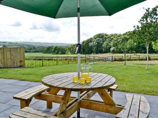 Llanlliwe Cottage - Henllan Amgoed - 2