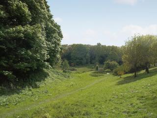 Cobble Stones - Holt - 1