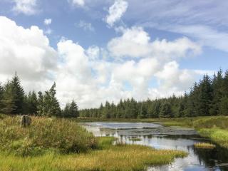 Pinclanty Cottage - Pinmore - 4
