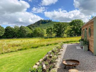 Bracken - Uk34842 - Straiton - 9